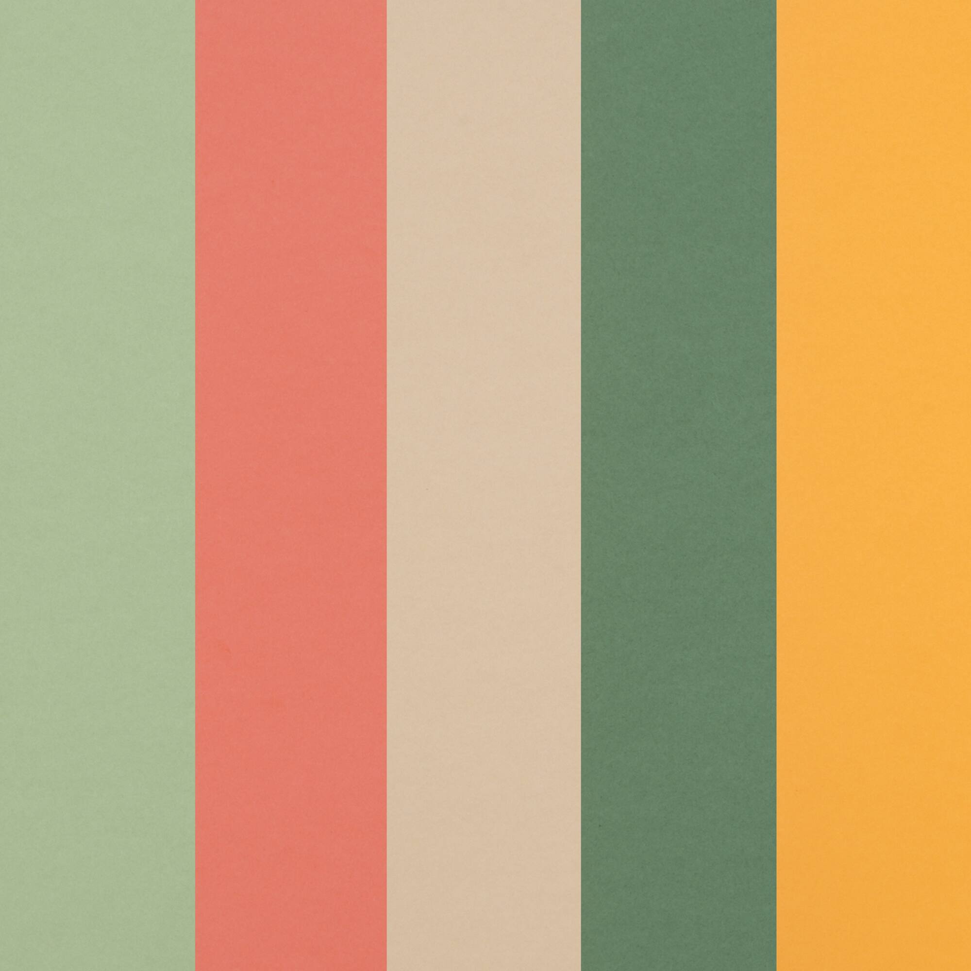 8 Packs: 50 ct. (400 total) 8.5" x 11" Apricot Crush 65lb. Cardstock Paper by Recollections™